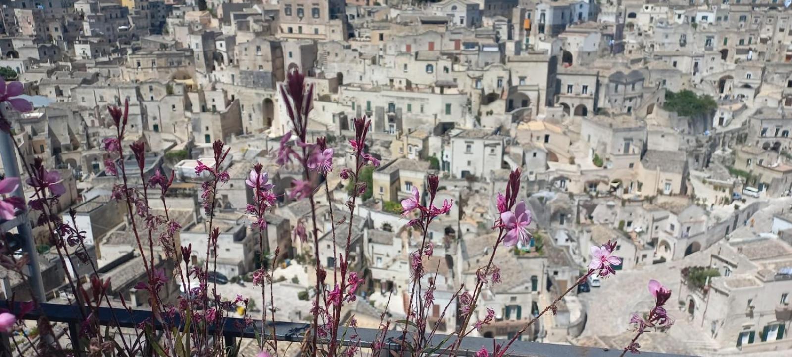 La Regina Historic House Daire Matera Dış mekan fotoğraf